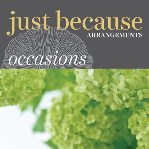 Occasions - Just Because