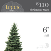 Christmas Tree - 6'