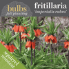 Fall Bulbs - Fritillaria 'imperialis Ruba'