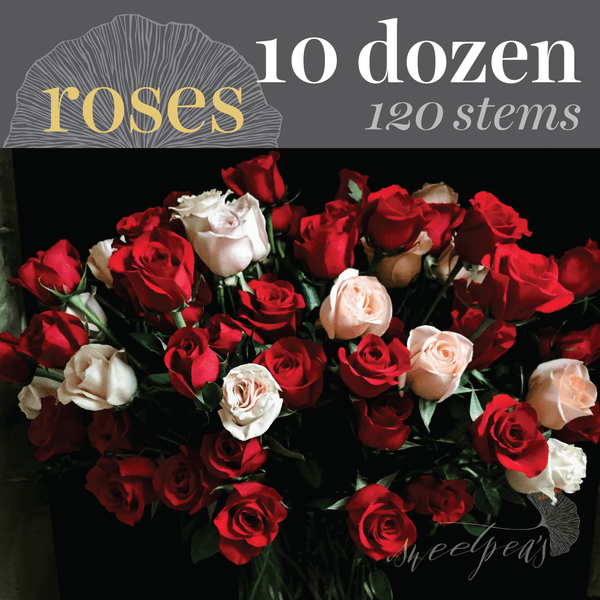'Hey, Big Spender' Roses - 10 Dozen (120 stems)