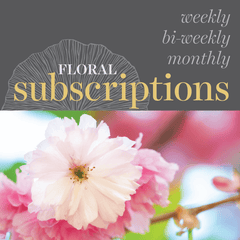 Floral Subscriptions