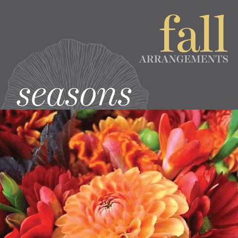 Seasonal - Fall