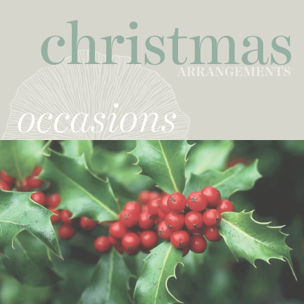 Occasions - Christmas