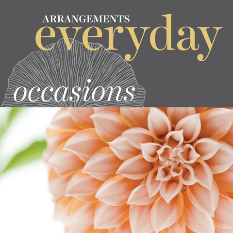Occasions - Everyday