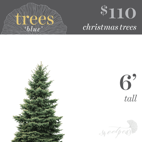 Christmas Tree - 6'