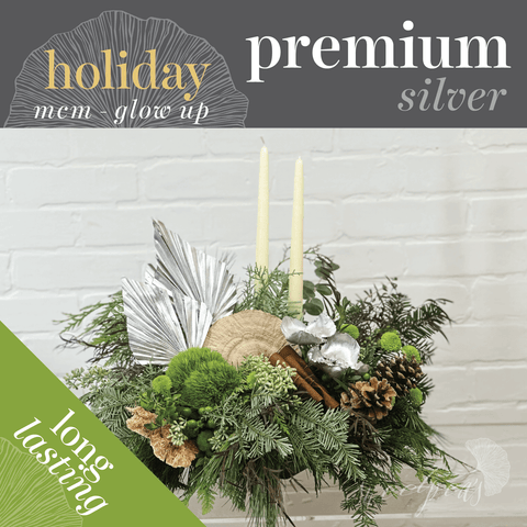 Seasonal Holiday - Mid-Century Modern Glow Up (Premium, Silver)
