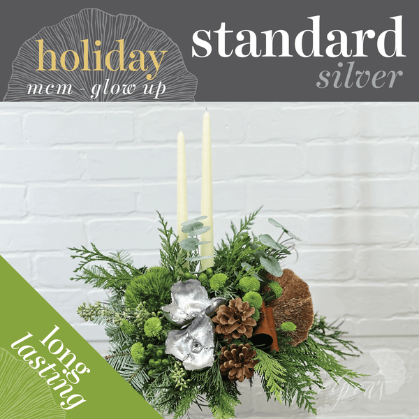 Seasonal Holiday - Mid-Century Modern Glow Up (Standard, Silver)