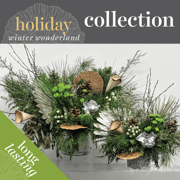 Seasonal Holiday - Winter Wonderland (Collection)
