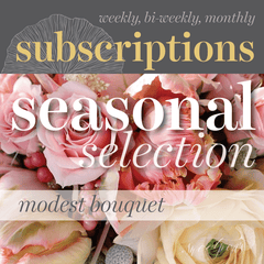 Floral Subscriptions - Seasonal Bouquet (Modest)