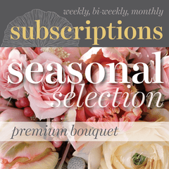 Floral Subscriptions - Seasonal Bouquet (Premium)
