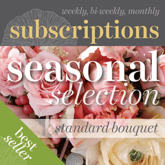 Floral Subscriptions - Seasonal Bouquet (Standard)