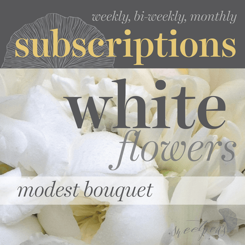 Floral Subscriptions - White Bouquet (Modest)