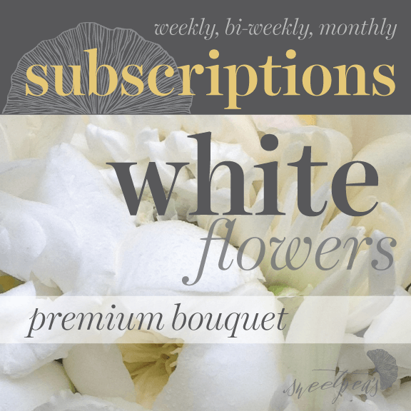 Floral Subscriptions - White Bouquet (Premium)