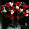 'Hey, Big Spender' Roses - 10 Dozen (120 stems)