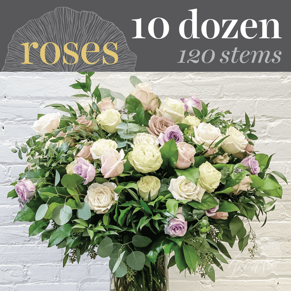 'VIP' Roses - 10 Dozen (120 stems)