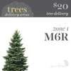 Christmas Tree - 6.5'-8'