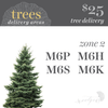 Christmas Tree - 6.5'-8'
