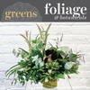 Foliage & Botanicals - Floral Arrangement (Modest)
