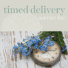 Timed Delivery Fee